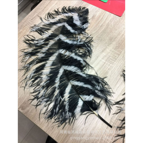 彩色斑马纹鸵鸟羽毛舞台服