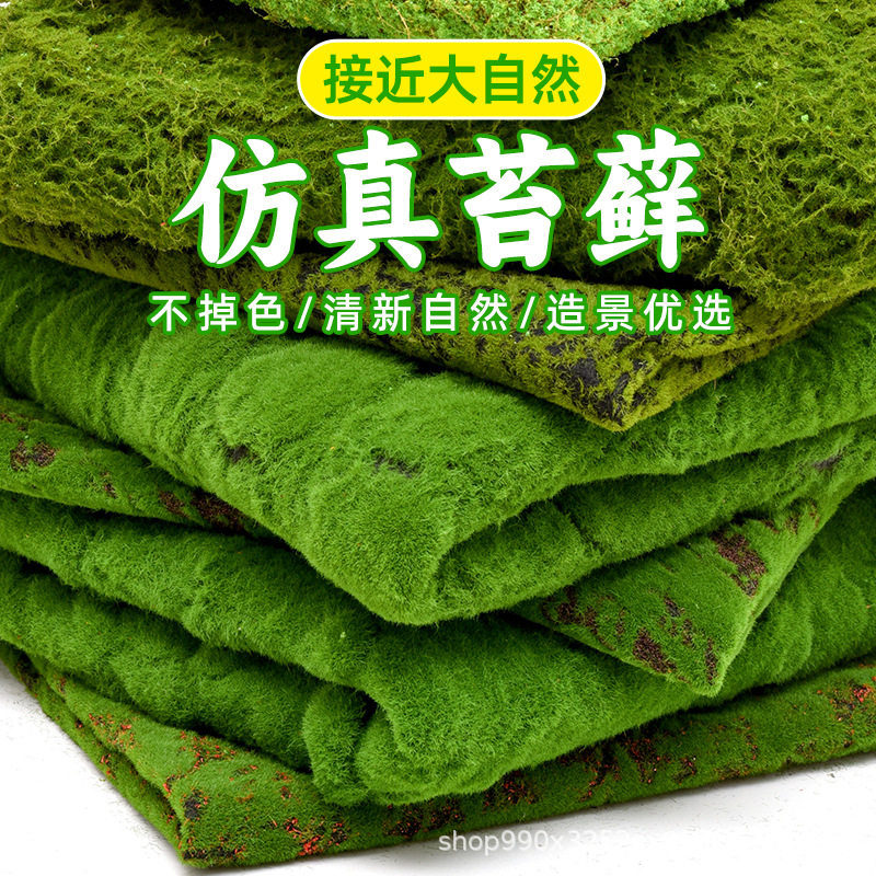 仿真苔藓青苔人造草坪绿植物墙盆景橱窗微景观假苔藓造景装饰铺面
