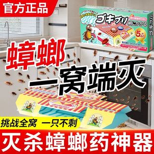 日本强效蟑螂粘板器贴恢恢强力灭蟑螂蟑杀药一窝端捕捉克星全窝端