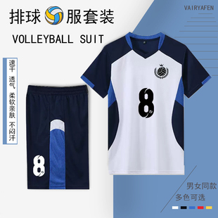 排球服套装女定制比赛队服气排球运动男专业短袖训练服定制印字号