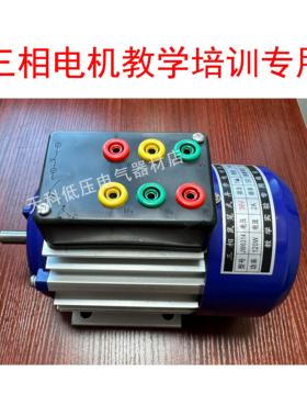 插拔电机三相异步电动机JW6314低压24V36V380V