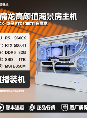 5060TI白魔龙/9600X/星璨岚海景房主机浩渺