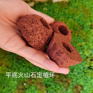 平底火山石水草定植环固定神器鱼缸龟缸造景无需底沙懒人沉底底座