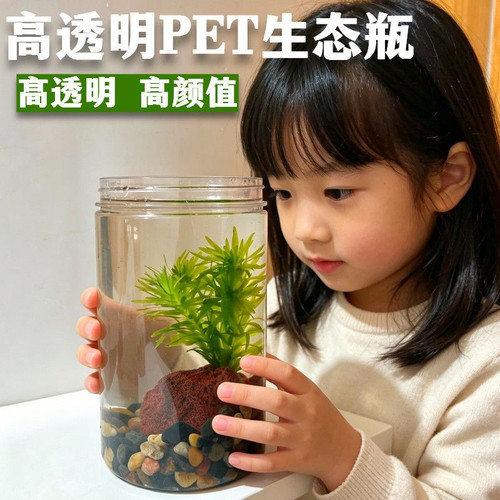 蜈蚣草透明PET桌面生态瓶鱼缸