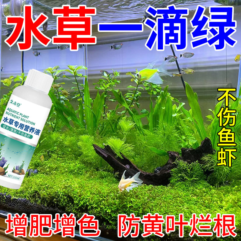 水草液肥久木不伤鱼虾一滴就绿