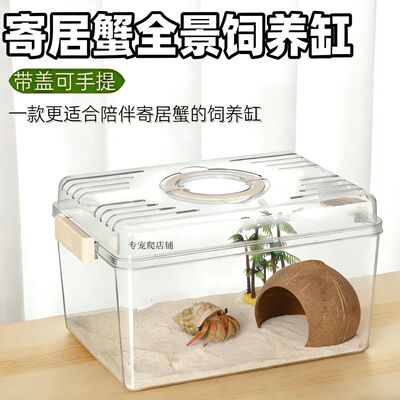 爬宠饲养箱宠物外带盒鬃狮蜥蜴守宫马陆蛇蜘蛛饲养盒高透无毒防越
