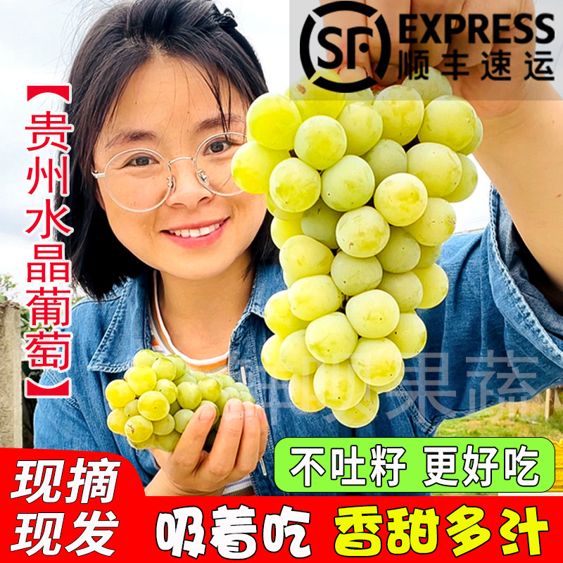 贵州水晶葡萄新鲜现摘香水葡萄农家特产当季孕妇水果甜非无籽顺丰