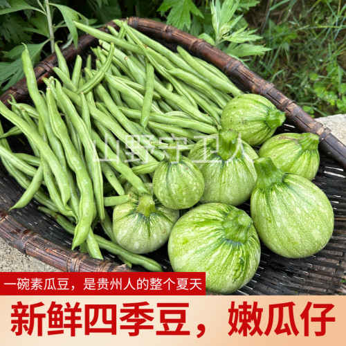 贵州省汤农家本地嫩南瓜新鲜现摘蔬菜四季豆小南瓜组合素瓜豆汤