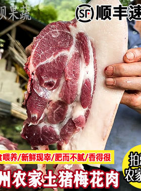 贵州正宗农家散养熟食土猪肉新鲜五花肉黑白毛猪猪肚排骨现杀冷冻