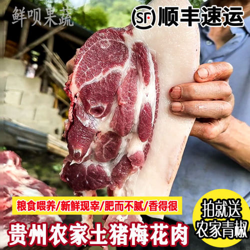 贵州农家土黑猪肉散养肉紧实鲜香