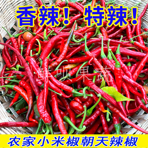 农家小米椒朝天辣椒超特辣