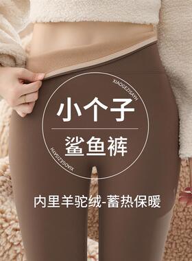 小个子鲨鱼裤女外穿秋冬季提臀瑜伽裤2026新款保暖加绒八分打底裤