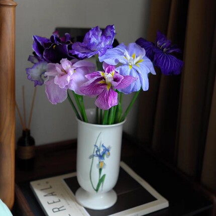 9月发日本名贵花卉鸢尾大花菖蒲玉蝉花苗世界园庭院绿植地盆栽