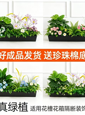 仿真绿植造景组合花槽花箱