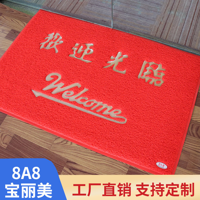 宝丽美8a8红地毯迎宾PVC丝圈家用