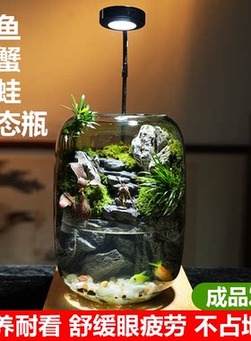 正版悟空瑶池微景观生态瓶可养鱼