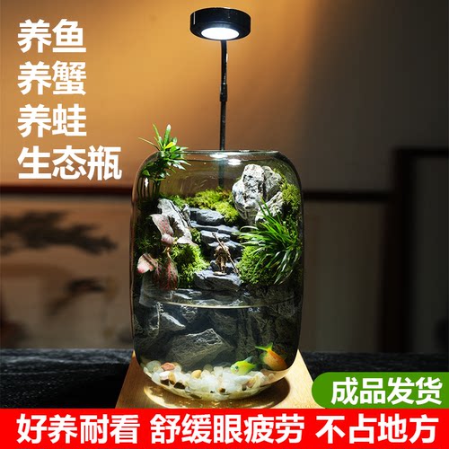 悟空瑶池微景观生态瓶