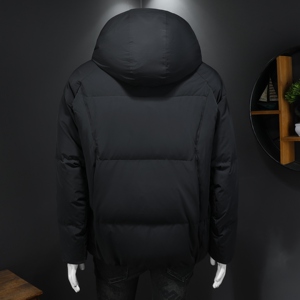 2025冬款男士羽绒服90白鸭绒-电商D252-89087P450628假模图片