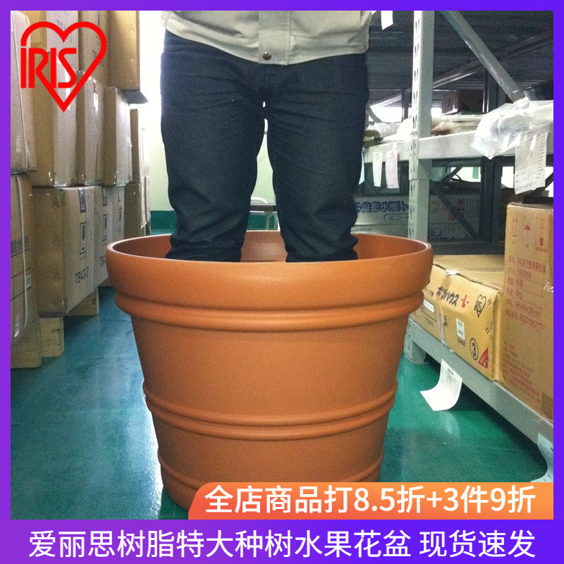 爱丽思庭院超大果树口径清仓花盆