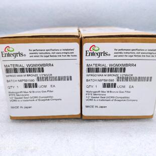 美国Entegris应特格 WGMXMBRR4 12 高纯 过滤器 全新正品原包装