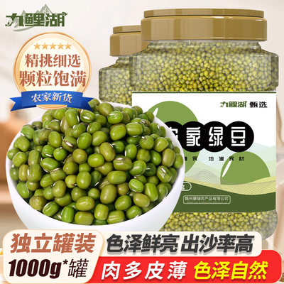 九鲤湖东北绿豆颗粒饱满罐1000g