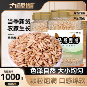 九鲤湖 燕麦米 农家燕麦米燕麦仁雀麦莜麦五谷杂粮粗粮