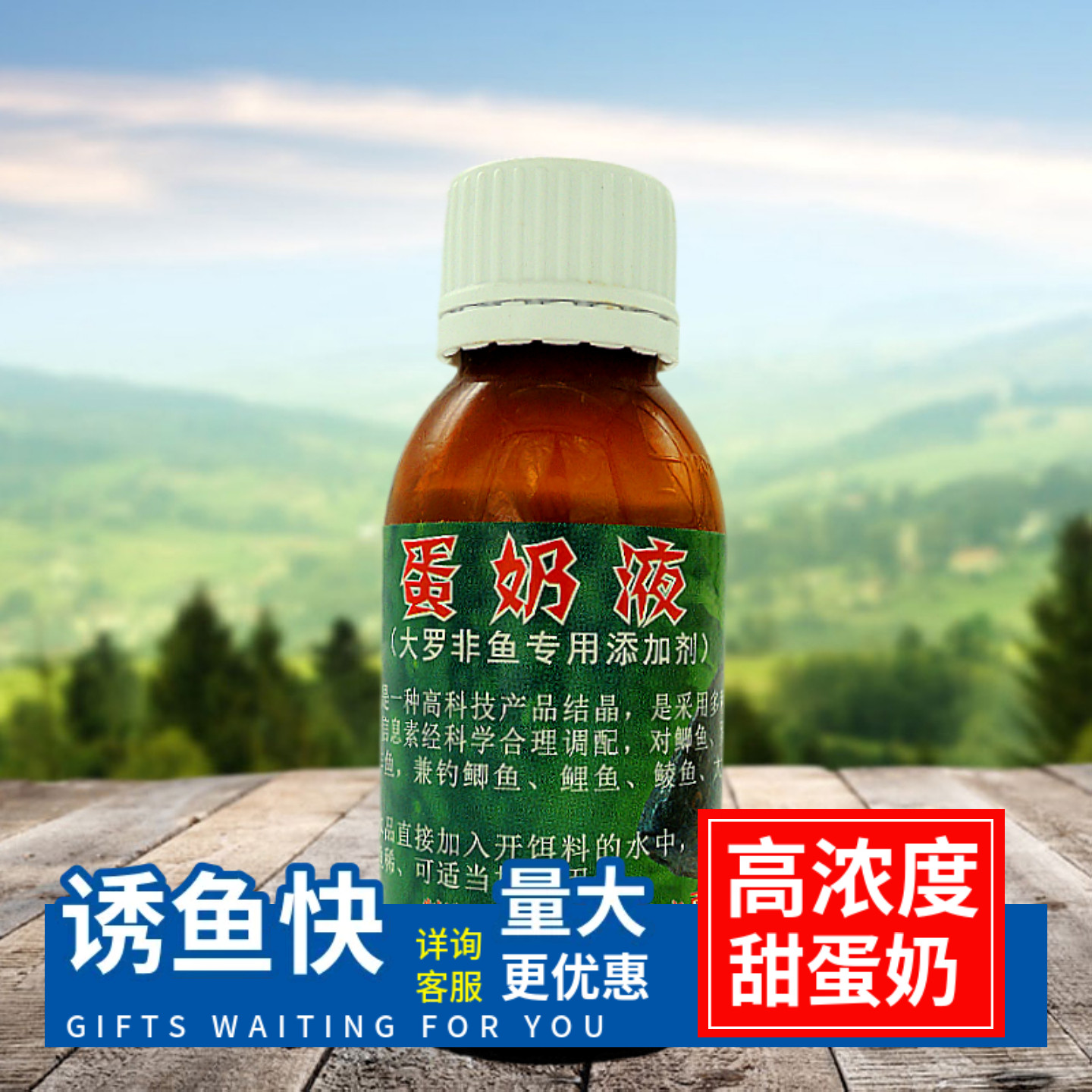 高浓度蛋奶液诱鱼集鱼