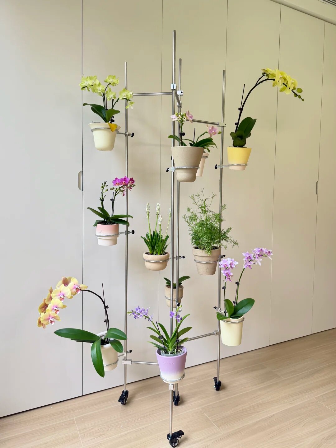 网红金属实心不锈钢光轴花架客厅阳台绿植花卉蝴蝶兰可移动植物架图片
