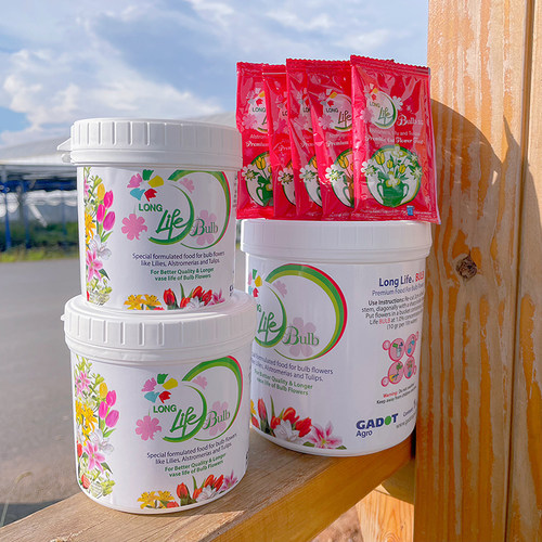 营养粉百合球根类花生命