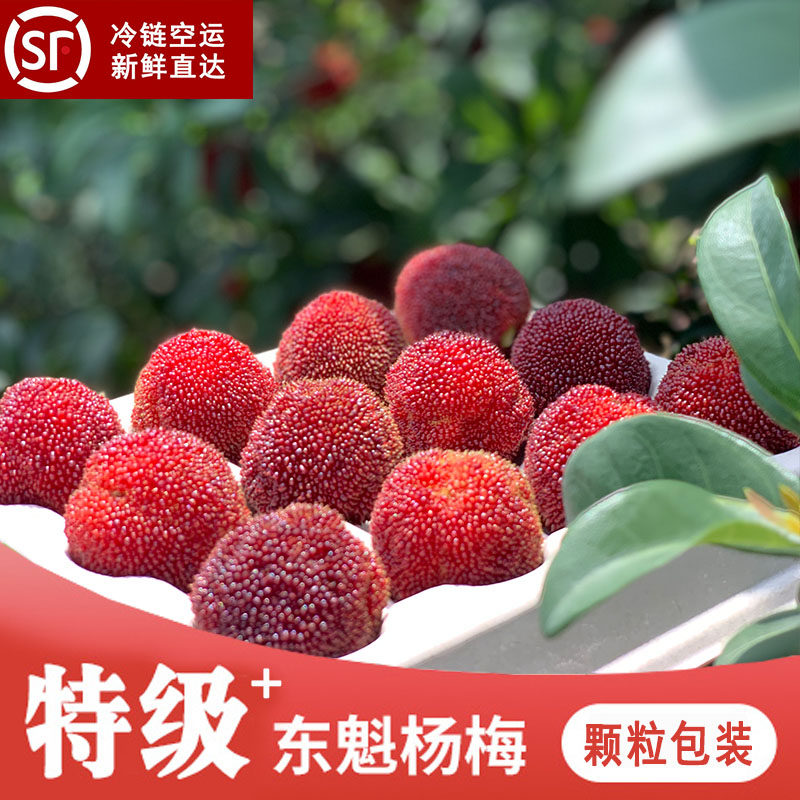 【乒乓球一样大仙居东魁杨梅颗粒包装】孕妇现摘当季水果4斤礼盒