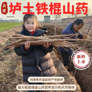 正宗垆土铁棍山药温县直发怀山药新鲜当季 铁杆山药5斤土特产