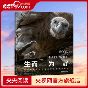 生而为野 讲述为野而生的自然摄影师与生而为野的野生生物邂逅共鸣的故事 让自然走入人心DL