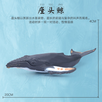 座头鲸深海洋世界动物玩具幼儿宝宝儿童早教小号海底认知仿真模型
