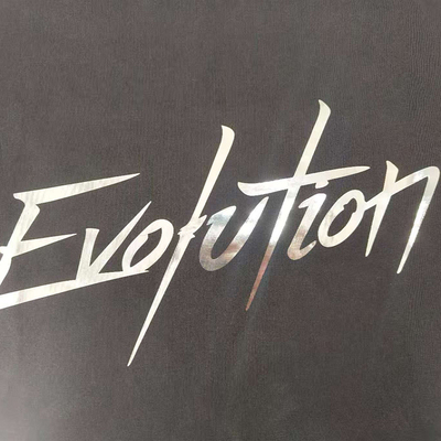 谢霆锋2025演唱会EvolutionNicLive同款软金属亮面热转印烫画贴