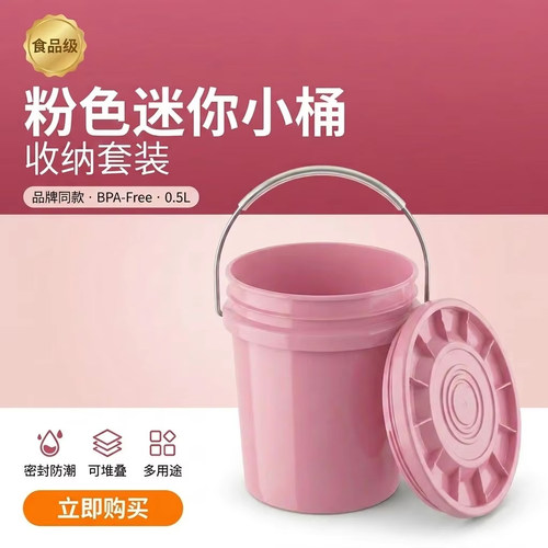 迷你0.5L带盖金属提手收纳桶