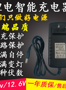 4.2V1A8.4V2000mA12.6V500mA12.6V2A13.8V21V1A16.8V2A手钻充电器