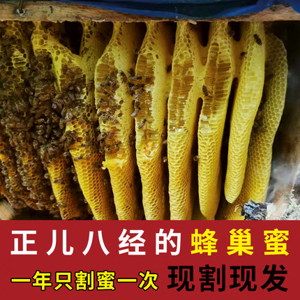 2斤土蜂巢蜜纯正天然农家自产伏牛山正宗深山野生原蜜嚼着吃蜂巢