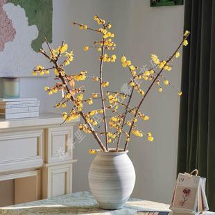 素心腊梅鲜花枝条鲜切花浓香水养插花带花苞发货上海发顺丰包邮