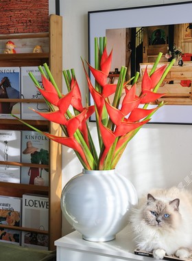 [新鲜真的花]富贵鸟鲜花大红色蝎尾蕉鲜切花水养插花发财鸟圣诞节