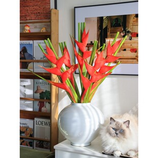 [新鲜真的花]富贵鸟鲜花大红色蝎尾蕉鲜切花水养插花发财鸟圣诞节