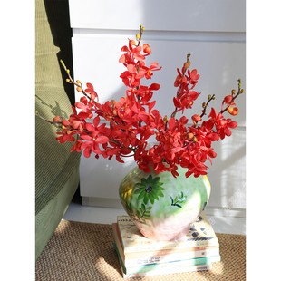 红色洋兰鲜花【新鲜真花】红千代兰鲜切花水养插花年宵花上海顺丰