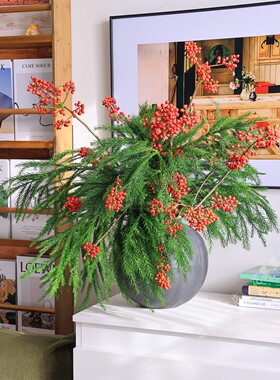 天竺少女无叶冬青插花【真的松枝鲜切花】家用水养圣诞节氛围花材