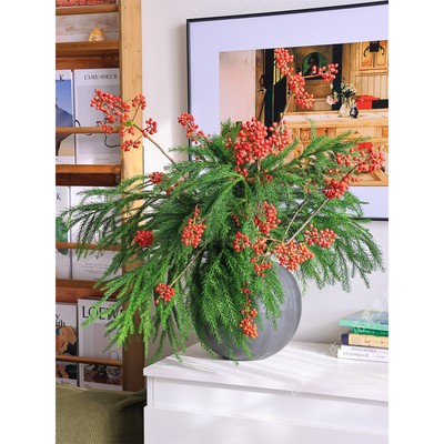 天竺少女无叶冬青插花圣诞节氛围