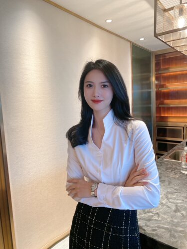 新款立领职业气质修身显瘦工装