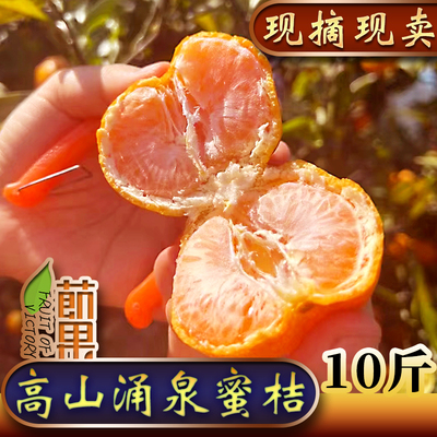 临海涌泉蜜桔新鲜水果当季整箱包邮10斤无核黄岩蜜橘浙江现摘现卖