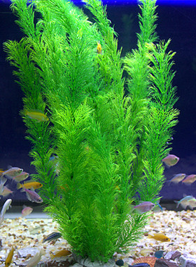 鱼缸装饰 仿真水草 水族造景假水草装饰 柔软水草 塑料水草绿色