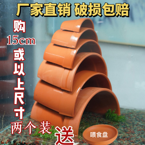 躲避屋躲避屋黄缘龟乌龟晒台鱼类