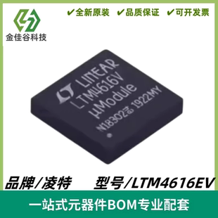 LTM4616EV 丝印LTM4616V DC/DC μModule 稳压器 LGA144 全新进口