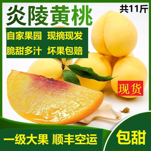 湖南正宗株洲炎陵黄桃现摘现发新鲜水果高山脆甜桃子10斤顺丰