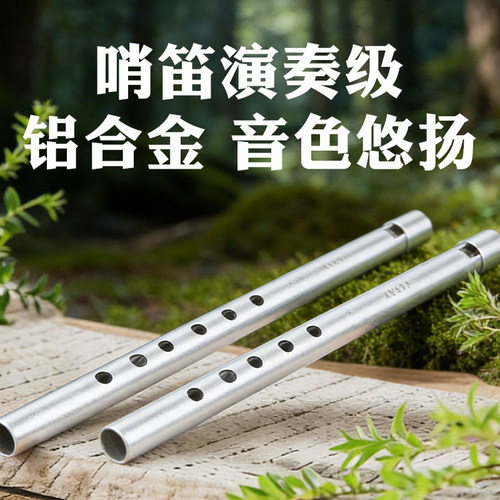 彭尼PENNY爱尔兰哨笛初学者